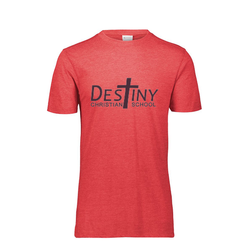 [FTSCUBRD-YS-LOGO2] Decker Youth Tri-Blend T-Shirt - Short Sleeve (Youth S, Red, Logo 2)